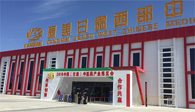中國（甘肅）中醫藥產業博覽會室外龍門形象
